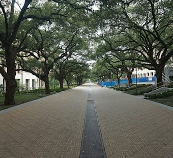 More Texas Professors Plan Their Exit as Political Climate Fuels Brain Drain