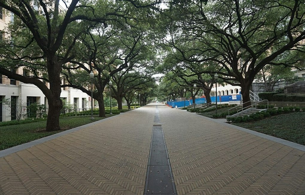 More Texas Professors Plan Their Exit as Political Climate Fuels Brain Drain