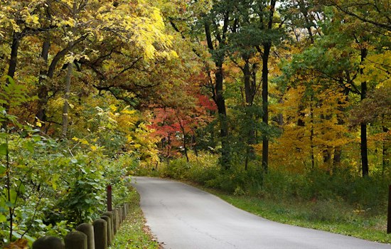 Morton Arboretum, MKSK Win Chicago Contest to Reforest City Streets