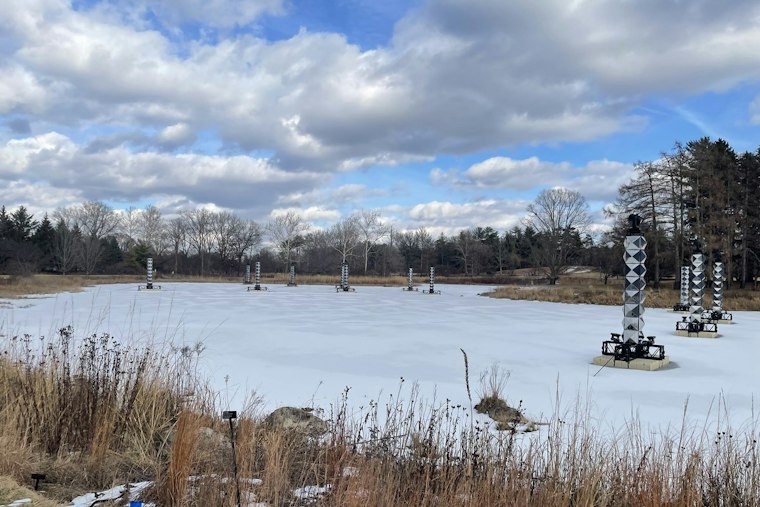 Morton Arboretum's Illumination Adds 400-Foot Northern Lights Canopy in Lisle