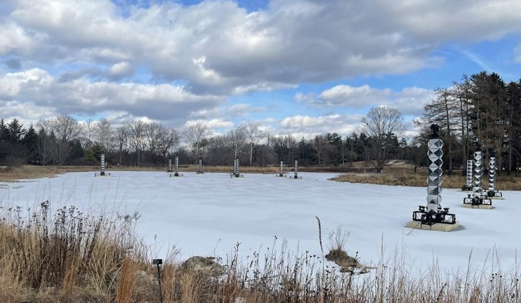 Morton Arboretum's Illumination Adds 400-Foot Northern Lights Canopy in Lisle