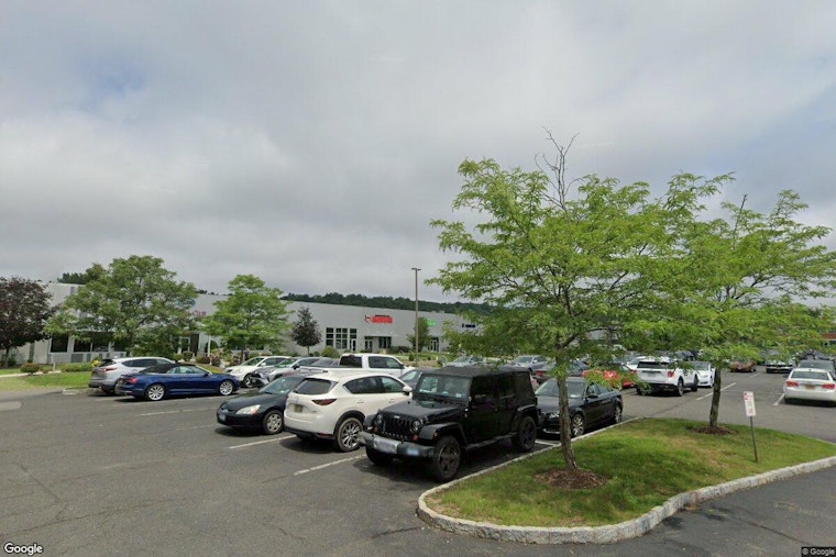 Mount Kisco Dogtopia Worker Charged After Video Shows Senior Dog Slammed on Table