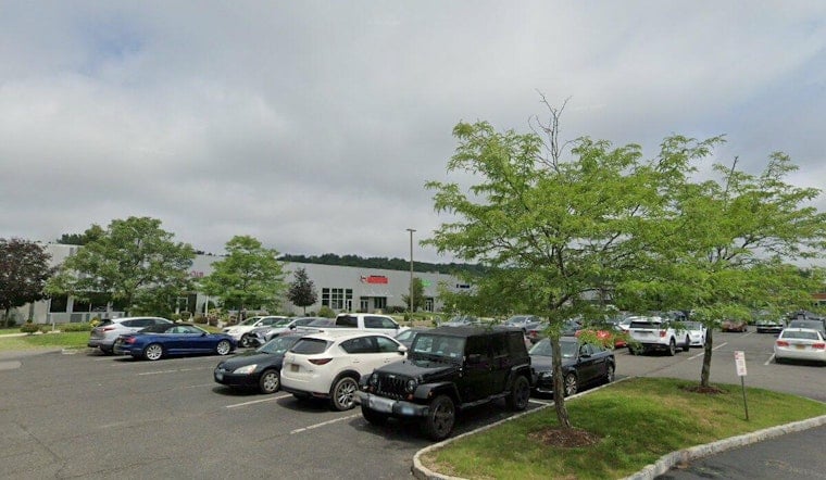 Mount Kisco Dogtopia Worker Charged After Video Shows Senior Dog Slammed on Table