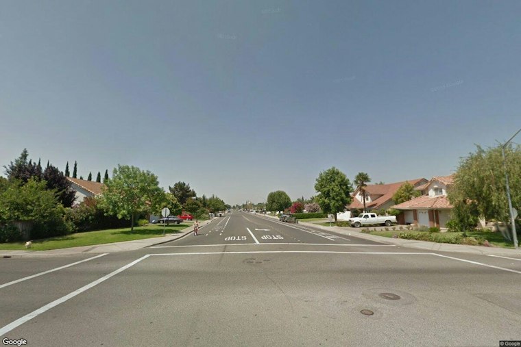 Mountain Lion Prowls Oakdale Heights Streets, Police Say Don't Panic Yet