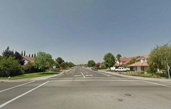 Mountain Lion Prowls Oakdale Heights Streets, Police Say Don't Panic Yet