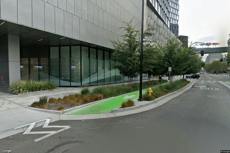 Mountain View Herbicide May Have Contributed to Tree Die-Off Near Library
