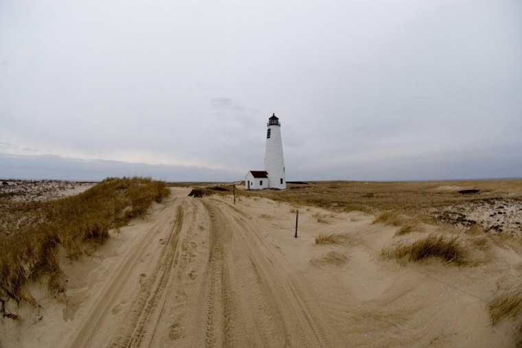 Nantucket Beachgoers Film White Shark Ripping Into Seal Off Great Point