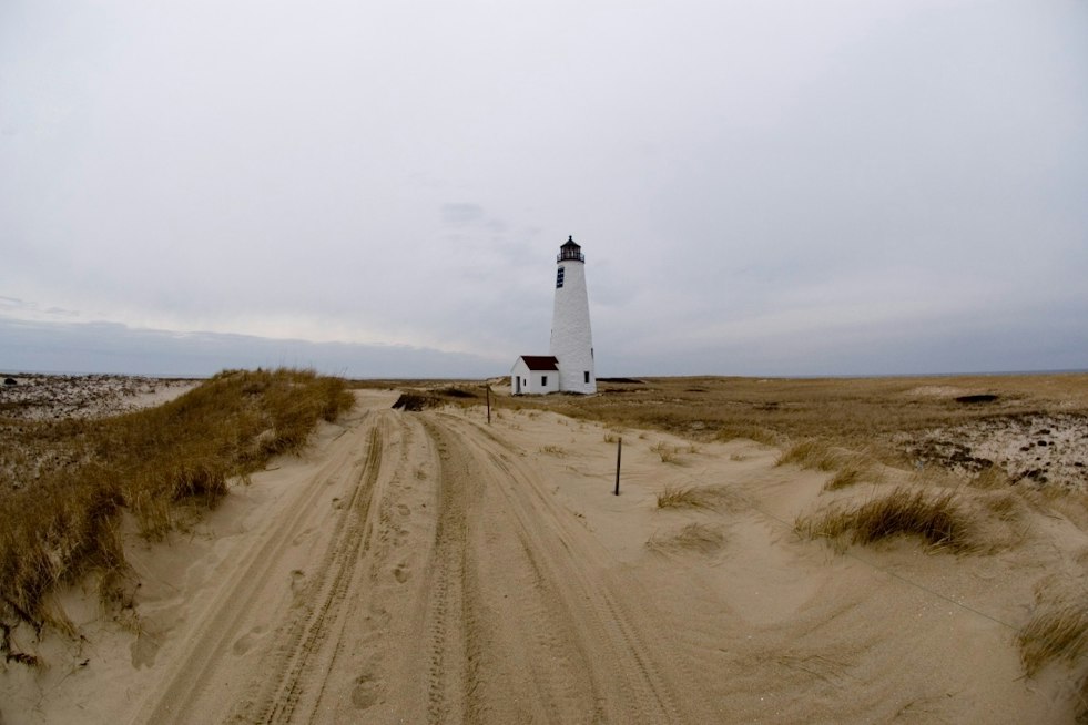 Nantucket Beachgoers Film White Shark Ripping Into Seal Off Great Point
