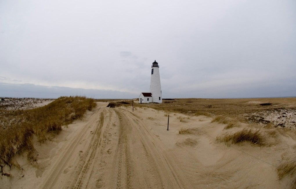 Nantucket Beachgoers Film White Shark Ripping Into Seal Off Great Point