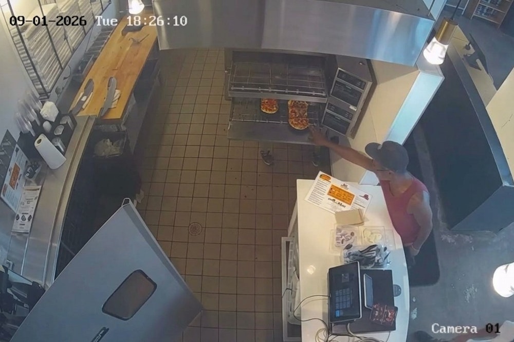 Nashville Pizza Thief Burns Hand Grabbing Pie From 550°F Oven
