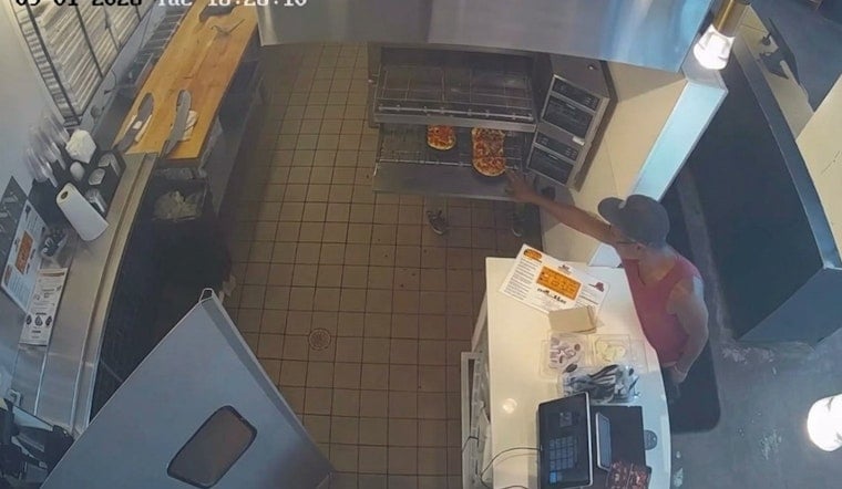 Nashville Pizza Thief Burns Hand Grabbing Pie From 550°F Oven