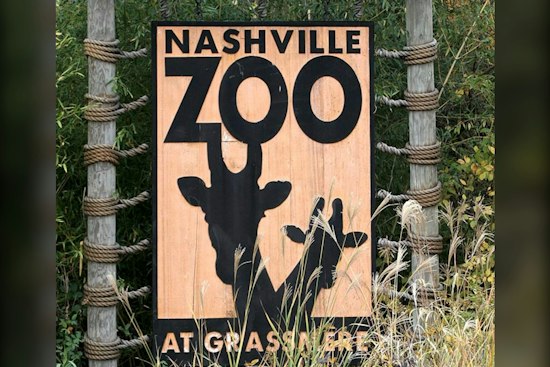 Nashville Zoo's Hispanic Heritage Festival Returns With Tacos, Catrinas