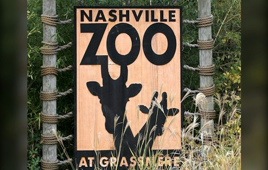 Nashville Zoo's Hispanic Heritage Festival Returns With Tacos, Catrinas