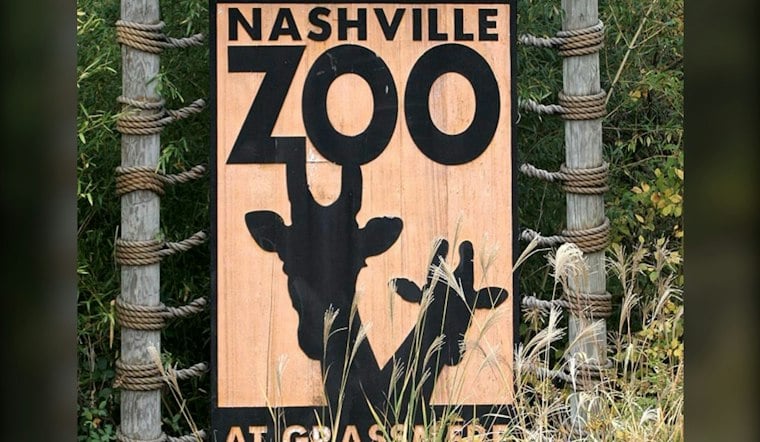 Nashville Zoo's Hispanic Heritage Festival Returns With Tacos, Catrinas