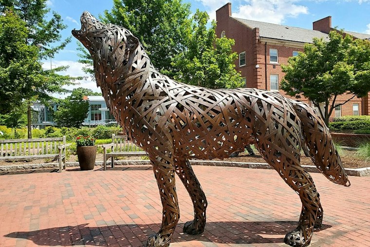 NC State Locks Out Free Moms Dogs, Leaving Students Asking Where the Pups Went
