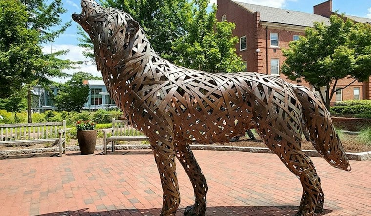 NC State Locks Out Free Moms Dogs, Leaving Students Asking Where the Pups Went