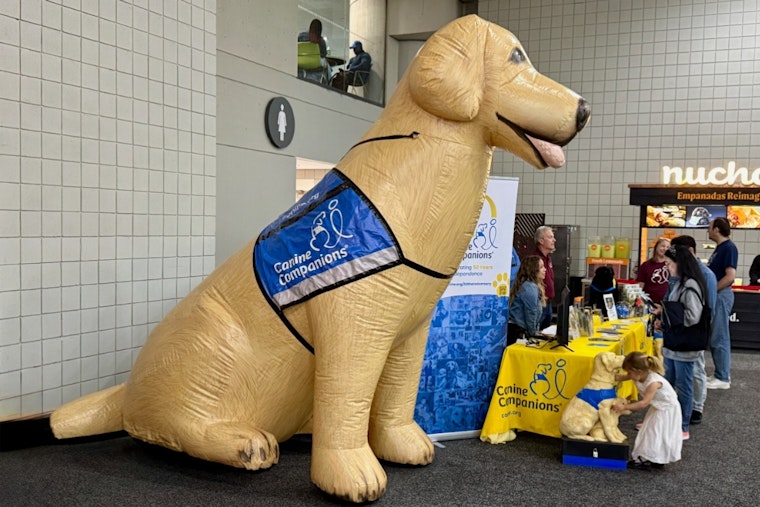 New Albany's DogFest Returns Sept. 20 After 2025 Event Raised $700,000