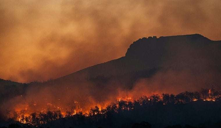 New Carroll Fire Ignites in Alameda County, Cause and Containment Still Unknown