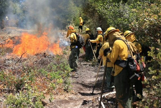 New Ranch Fire Ignites on Private Land in Santa Cruz County, Cause Still Unknown