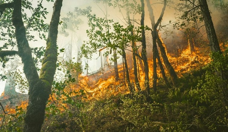 New Rim Fire Breaks Out on Forest Service Land in Placer County