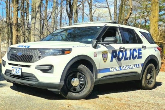 New Rochelle Pistol-Whipping Suspect Nabbed in Brooklyn, Tied to Bronx Double Killing