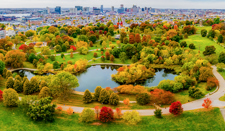 New Tuesday Farmers Market Draws Big Crowds To Baltimore's Patterson Park