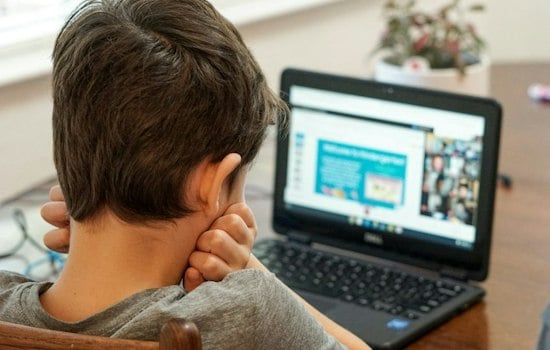 Niche Publishes 2027 Private-School Rankings; Stanford Online High School Offers Online Seminars