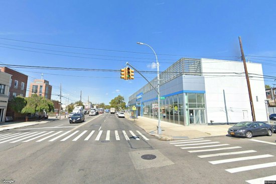 Nine Cats Found Dead Under Bay Ridge Deck, Fueling Poisoning Fears