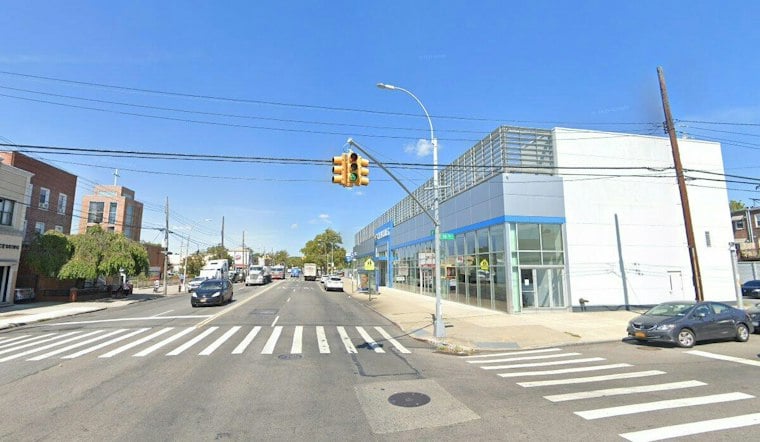 Nine Cats Found Dead Under Bay Ridge Deck, Fueling Poisoning Fears