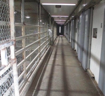 NJ Guards' Union Pushes to Expand Solitary Confinement After Assaults Spike to 964