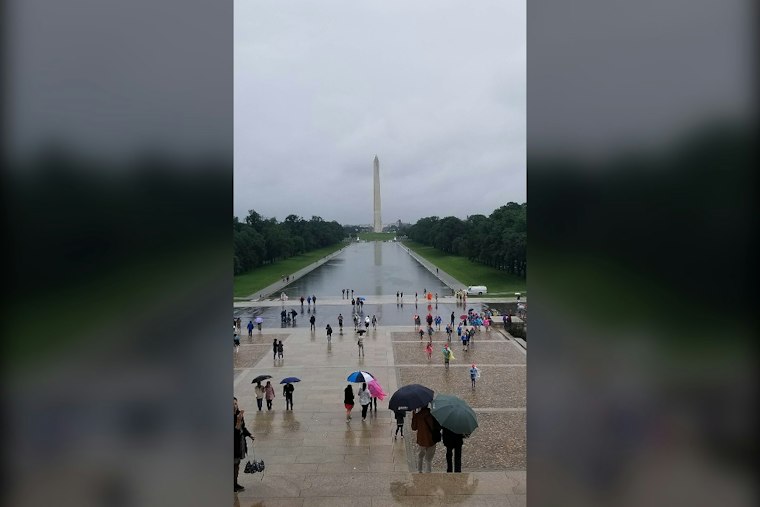 Nor’easter Turns D.C. Sunday Into Raw, Wind-Whipped Soaker