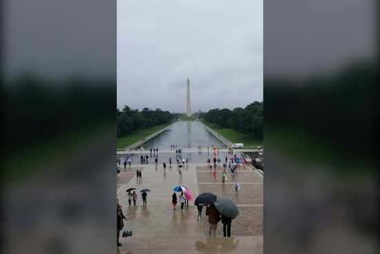 Nor’easter Turns D.C. Sunday Into Raw, Wind-Whipped Soaker