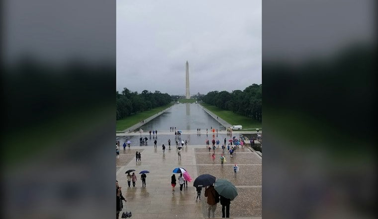 Nor’easter Turns D.C. Sunday Into Raw, Wind-Whipped Soaker