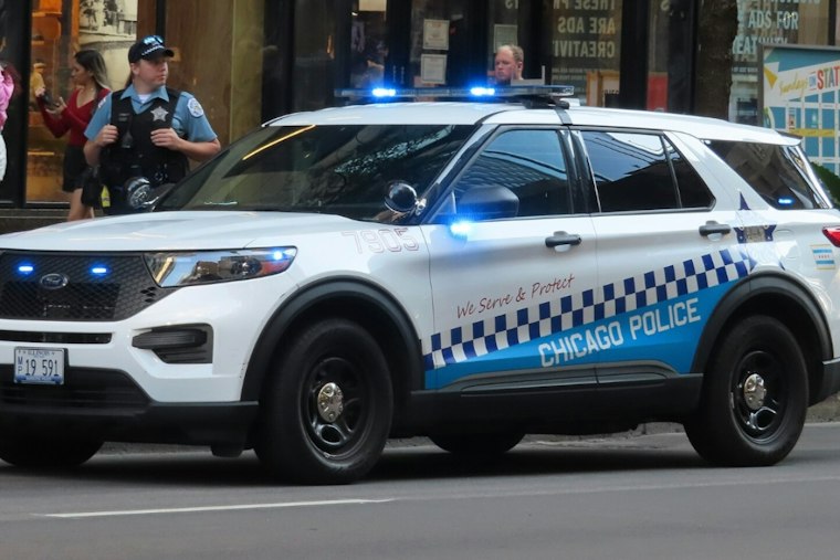 North Lawndale Officer Shoots Pit Bull After Domestic Call Turns Chaotic