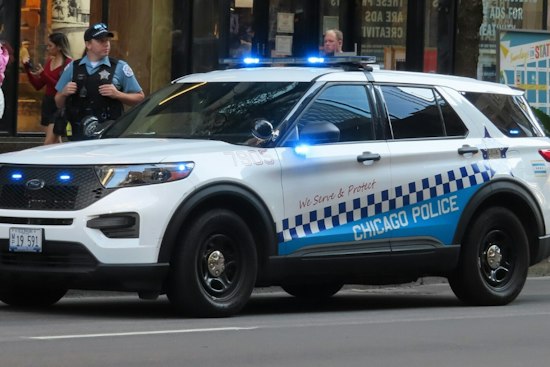 North Lawndale Officer Shoots Pit Bull After Domestic Call Turns Chaotic