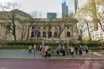 NYPL Event Sparks Fury After Author Compares Israel to a Dog Shelter