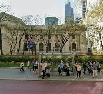 NYPL Event Sparks Fury After Author Compares Israel to a Dog Shelter
