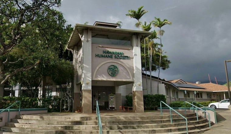 Oahu Shelters Waive Adoption Fees to Clear Kennels for Kauai's Storm-Displaced Pets