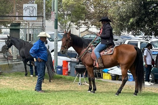 Oakland Black Cowboy Parade Rides Again Oct. 3 With Ponies, Line Dancing