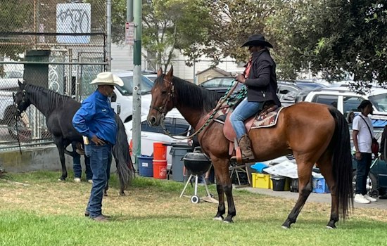 Oakland Black Cowboy Parade Rides Again Oct. 3 With Ponies, Line Dancing