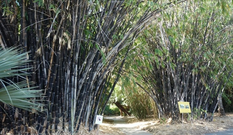 October Events Bring Evening Hikes and a Plant Tour to the Arcadia Arboretum