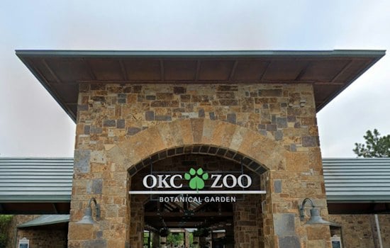 OKC Zoo Hosts Free Sesame Street Elephant Screenings With Bonus Zoo Voucher
