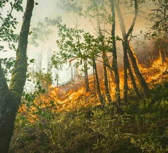 Olowalu Brush Fire Forces Evacuations, Shuts Down Honoapiʻilani Highway