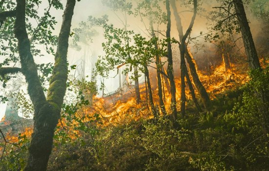 Olowalu Brush Fire Forces Evacuations, Shuts Down Honoapiʻilani Highway