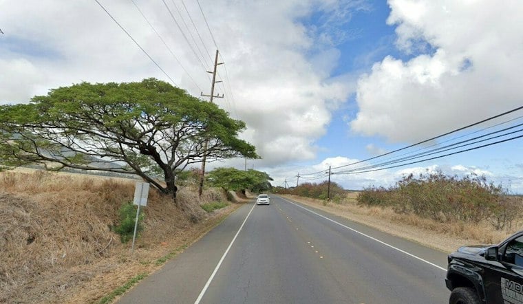 Operating Engineers Local 3 Backs Kalo Farmer Bobby Pahia In Upcountry Maui Council Race