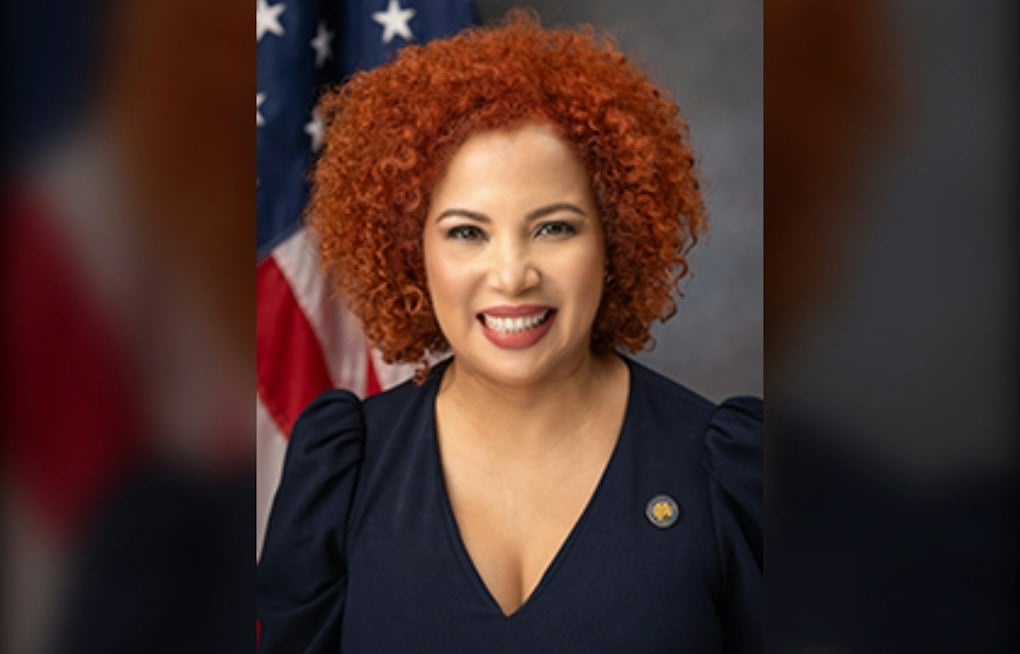 Orange County District 4 Race Pits GOP Underdog Against Democratic State Lawmaker