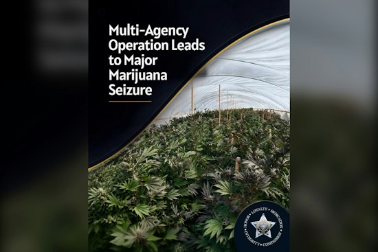 Oregon Raids Uncover 110,000 Pot Plants, 55 Workers Living Without Water or Power