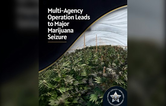 Oregon Raids Uncover 110,000 Pot Plants, 55 Workers Living Without Water or Power