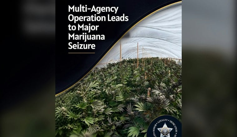 Oregon Raids Uncover 110,000 Pot Plants, 55 Workers Living Without Water or Power