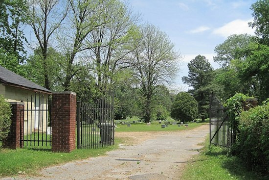 Overgrowth Raises Concerns at Memphis' Hollywood Cemetery